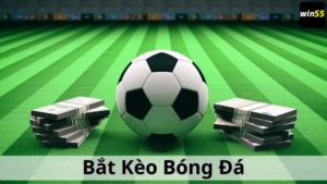 Hướng Dẫn Bắt Kèo Bóng Đá Cho Người Mới Trên Win55