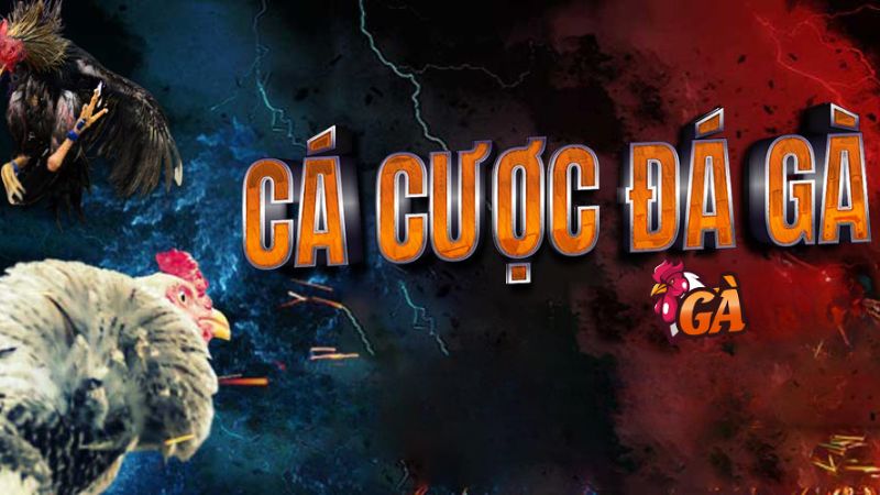 Đá gà online là gì?