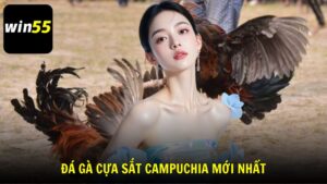 Kinh nghiệm chơi và theo dõi đá gà cựa sắt hiệu quả cùng Win55