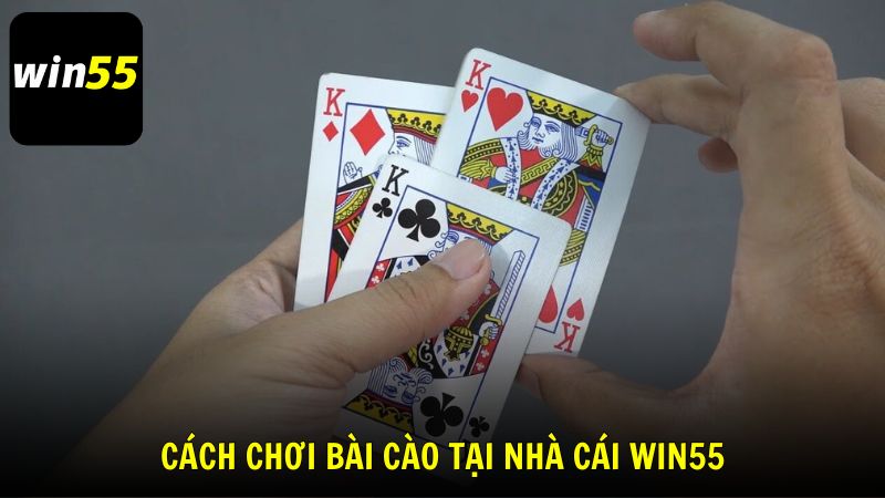 Cách chơi Bài Cào chi tiết nhất tại nhà cái Win55