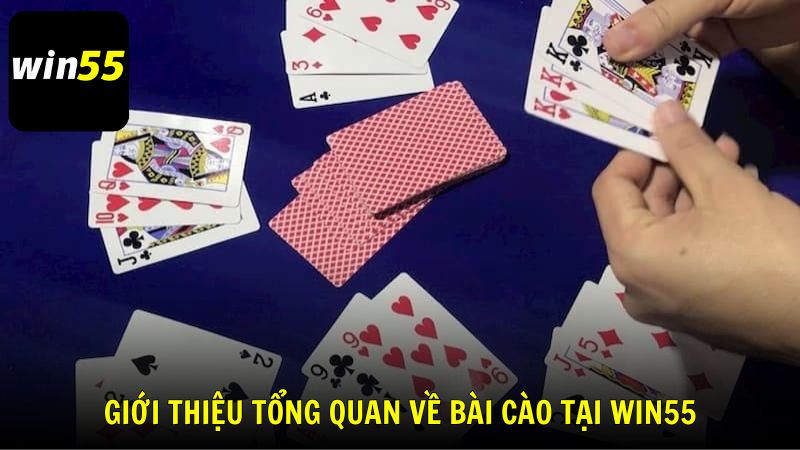Giới thiệu tổng quan về Bài Cào tại Win55
