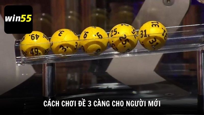 Cách chơi đề 3 càng đơn giản cho người mới