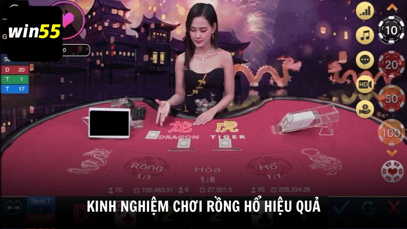 Kinh nghiệm chơi Rồng Hổ hiệu quả từ cao thủ