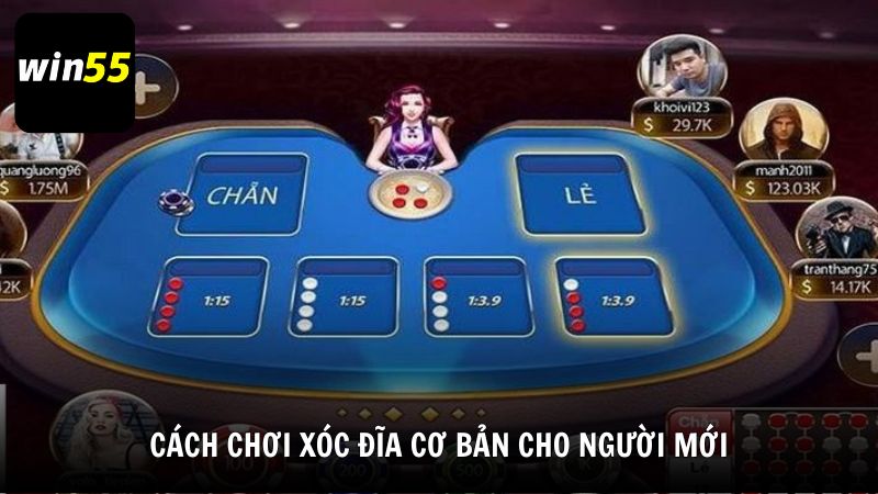 Cách chơi Xóc Đĩa cơ bản cho người mới