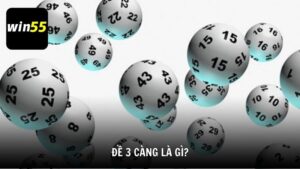 Đề 3 càng là gì?
