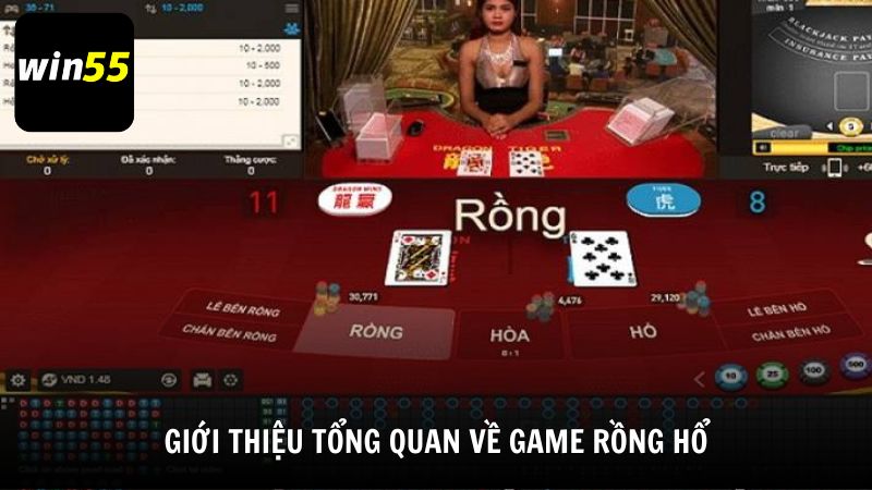 Giới thiệu tổng quan về game Rồng Hổ