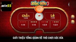 Giới thiệu tổng quan về trò chơi Xóc Đĩa