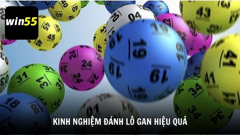 Kinh nghiệm đánh lô gan hiệu quả từ cao thủ Win55