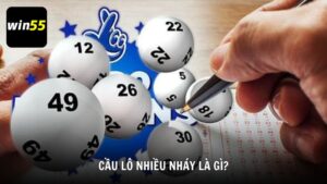 Cầu lô nhiều nháy là gì?