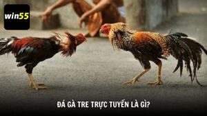 Đá gà tre trực tuyến là gì?