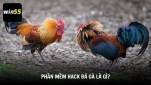 Phần mềm hack đá gà là gì?