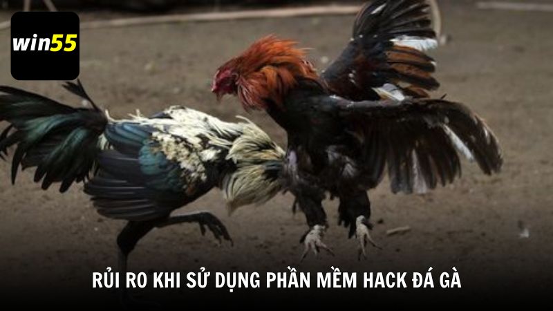 Rủi ro khi sử dụng phần mềm hack đá gà