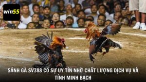 Sảnh gà SV388 có sự uy tín nhờ chất lượng dịch vụ và tính minh bạch