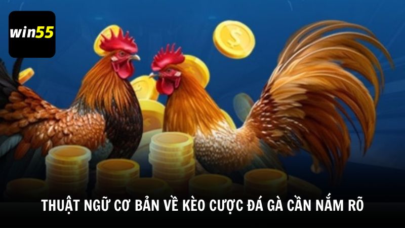 Thuật ngữ cơ bản về kèo cược đá gà cần nắm rõ