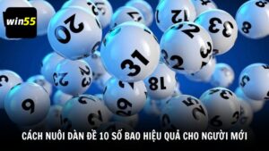Cách nuôi dàn đề 10 số bao hiệu quả cho người mới