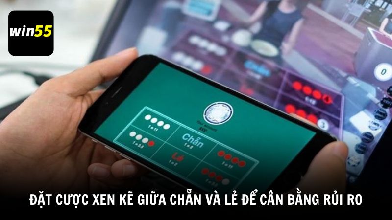 Đặt cược xen kẽ giữa chẵn và lẻ để cân bằng rủi ro